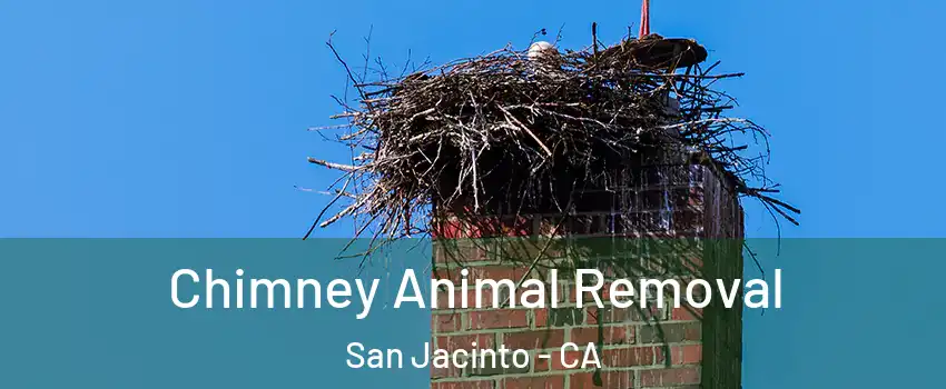  Chimney Animal Removal San Jacinto - CA
