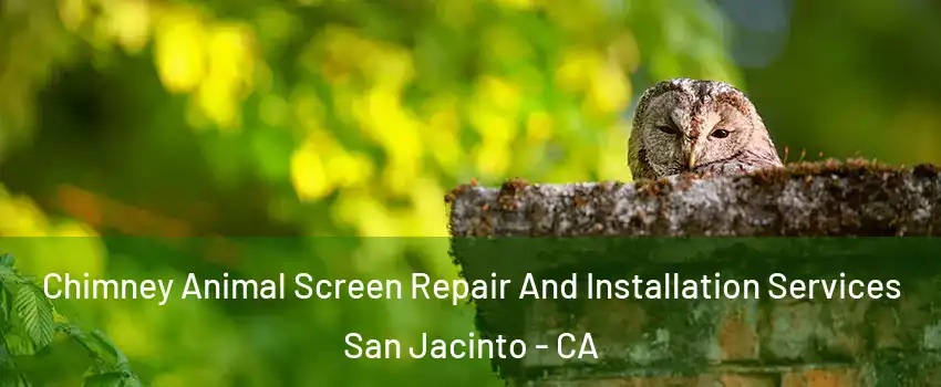  Chimney Animal Screen Repair And Installation Services San Jacinto - CA