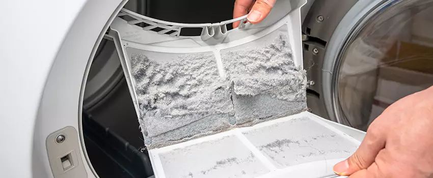 Best Dryer Lint Removal Company in San Jacinto, California