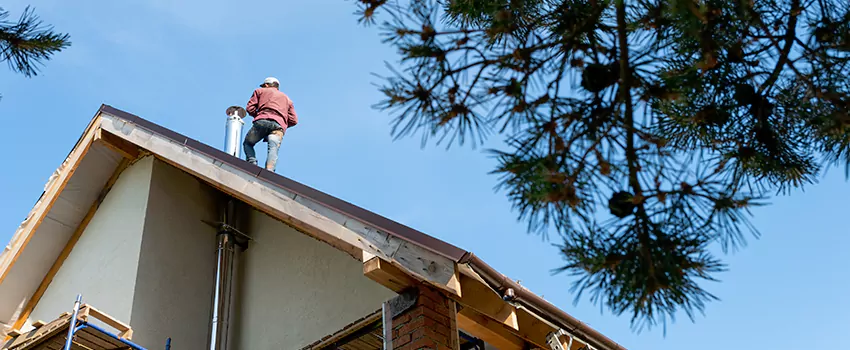 Birds Removal Contractors from Chimney in San Jacinto, CA